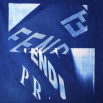 Double F. Cyanotype on Cotton. 24x24 NICK FURY 2010